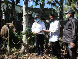 Bupati Kupang Serahkan Hewan Qurban