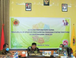 Stunting Sudah Jadi Urusan DP2KBP3A