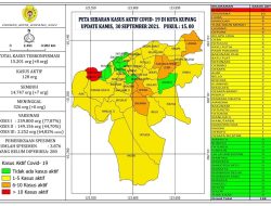 Gugus Tugas Umumkan 8 Kasus Baru Covid-19