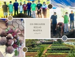 Partai Nasdem Utus 6 pemuda Amarasi Belajar Bertani di GS Organik