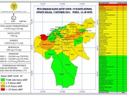 18 Kasus Baru, di Kota Kupang