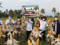 Syahrull:”Mau Kaya Ayo Jadi Petani”