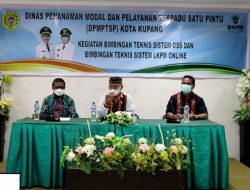 Pemulihan Ekonomi Butuh Dukungan Pelaku Usaha