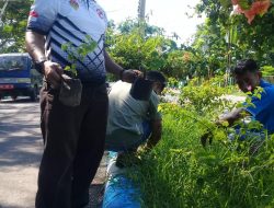 Disdikbud Kota Kupang, Tanam 10.000 Anakan Bougenvil