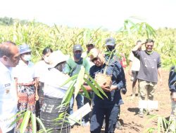 Pada Bambu Ada Nilai Ekonomi dan Ekologi