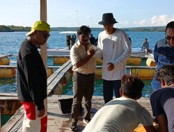 Gubernur dan Wakil Gubernur ke Mulut Seribu, Budidaya Lobster Menjanjikan