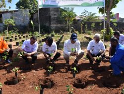 Kelurahan Kayu Putih, Jadi Kampung Sadar Inflasi
