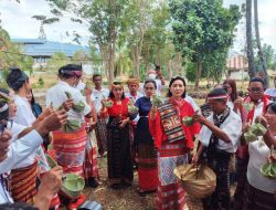 Tosh Kenegaraan Ala Bunda Julie, Bukan Minuman Berkelas Tapi Tuak Manis