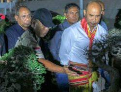 Gubernur NTT Minta, Masyarakat Kembangkan Bonsai Lebih Luas