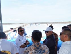 Tinjau Lahan Tambak Garam Nunkurus, Menteri Kelautan dan Perikanan Inginkan Ini !!