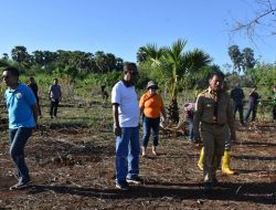 Pemkot Kupang, Mulai Tanami Lahan Kosong