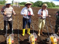 Serangkaian Kegiatan Warnai HUT NTT di SBD. Ada Tanam Jagung dan Konser