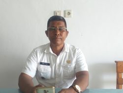Terkait Kematian Ternak Babi, Tonce Teuf: “Kebersihan Kandang Perlu Diperhatikan”