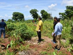 Pastikan Program Urban Farming Berjalan, Sekkot Kupang Turun ke Naioni