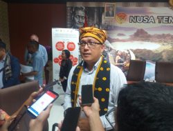 Sudah 318 Kematian Babi di Januari, Melki Angsar: “Belum Disebut Wabah”