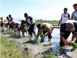 Kapolres Kupang, Pimpin Anggota Turun ke Sawah
