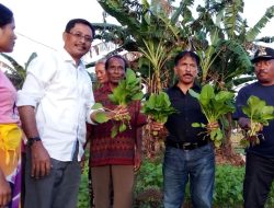 Belanja Sayur di Bello, Hadjoh: “Saya Ingin Semua Pegawai Pemerintah Belanja Sayur di Sini”