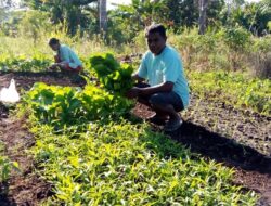 Ketika Sumber Air Yang Terbatas, Jadi Tumpuan Harapan Petani Bello