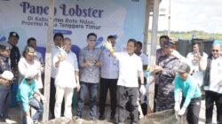 Panen Lobster di Mulut Seribu, Mentri KKP Minta, Keberhasilan Ini Diikuti Daerah Lain