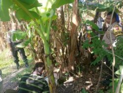 Viral !! Warga Oesao Temukan Bayi, Dengan Tali Pusar Belum Dipotong