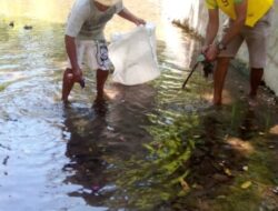 Masuk Musim Kemarau, Debit Air Berkurang, Warga Bello Lakukan Ini