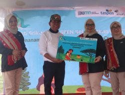 Oelamasi Bakal Hijau, Dengan Pohon Cemara dan Trembesi