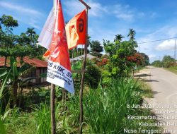 Takut Kalah, OTK Rusakkan Baliho Caleg Partai Buruh di Malaka