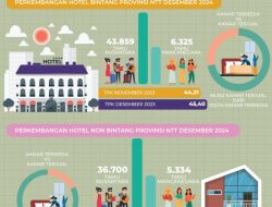BPS Merilis, TPK Hotel Bintang Tercatat 45, 40 Persen, Desember 2023