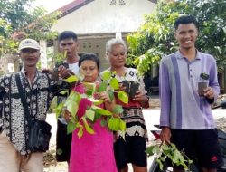 Pinang dan Sirih, Miliki Peluang Usaha dan Bermanfaat Bagi Kesehatan