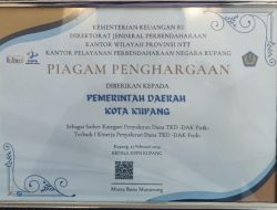 Terima Penghargaan Terbaik I, Pj. Wali Kota Kupang Apresiasi Dirjen Perbendaharaan NTT
