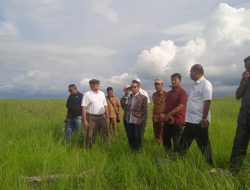 Pj. Gubernur NTT Tinjau Rencana Lokasi Pembangunan PLTS, di Sumba Tengah