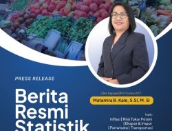Mei 2024, Kota Kupang Alami Inflasi Tertinggi, Berapa ya ?
