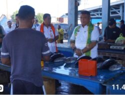 Pemkot Kupang Pantau Harga Pasar, Jelang Idul Adha