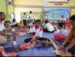 IKM-SS Kupang Potong 22 Ekor Hewan Kurban, Dalam Tiga Sesi