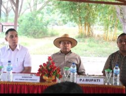 Pemerintah Gandeng Swasta, Kembangkan Emas Hijau