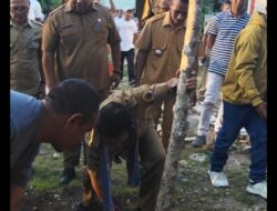 Emas Hijau Untuk Masyarakat Oefafi, Bisa Tanggulangi Kemiskinan Extrem