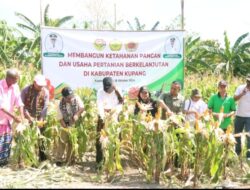 Saat di Kelurahan Merdeka, Pj. Gubernur Serahkan Bantuan Benih dan Lakukan Berbagai Agenda