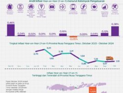 Oktober 2024, Kota Kupang Alami Inflasi Tertinggi, TTS Deflasi Tertinggi