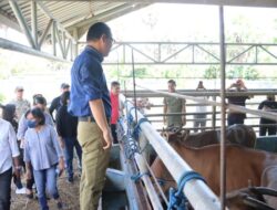 Tinjau RPH Bimoku, Pj. Gubernur NTT Temukan Kondisi Ini
