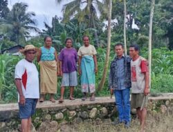 Yayasan CIRMA Indonesia Dampingi Petani Kecil Di Kota Kupang