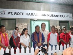 Rumput Laut NTT Punya Kualitas Kelas Dunia