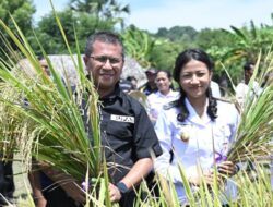 Dari Lahan Kering Menuju Lumbung Pangan: Mimpi Baru Kupang Bersama Yosef–Aurum