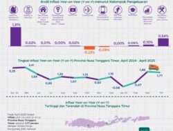 Kabupaten TTS, Alami Inflasi y-on-y Tertinggi, Cek Besarannya