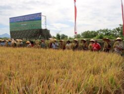 Hadiri Panen Raya, Brigjen TNI Simatupang Sebut, Panen Raya Buah Kerja Sama Kita, Kapolres Kupang Bilang Begini