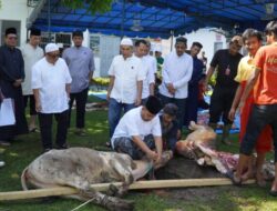 Andi Surya : Ibadah Qurban Adalah Amal Kebaikan Yang Sangat Disukai Allah