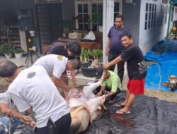 IKA BKPRMI Kota Medan Tebar Satu Hewan Kurban, Perkuat Solidaritas dan Kepedulian Sosial