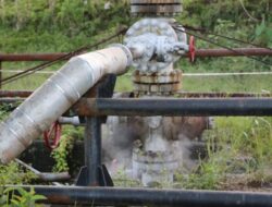 Gubernur NTT Tinjau Lokasi Proyek Geotermal di Mataloko, Begini Kondisinya