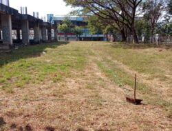 Atlet Cricket NTT Segera Punya Gelanggang Latihan, Siap Dibuka di GOR Oepoi Kupang