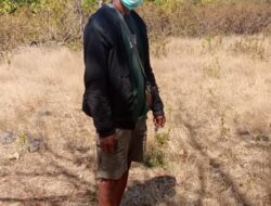 KUB Sta. Maria Angela Stasi Bello, Bakal Ada Kebun Kolektif