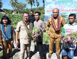 Hadiri Panen Bawang Merah, Bupati Motivasi Poktan Begini